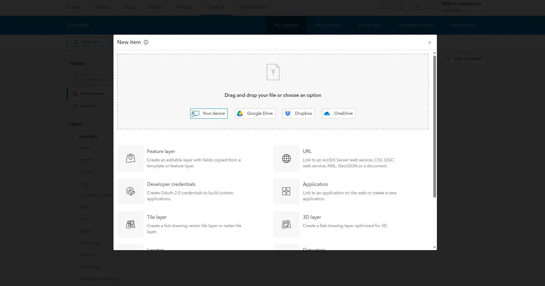 Choosing URL option in ArcGIS Online