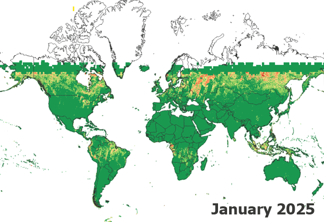 Global monthly coverage of the NIMBO 10 m traceability layer
